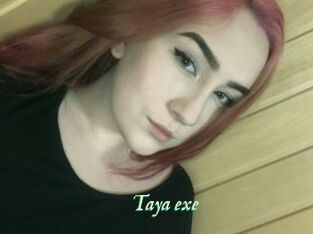 Taya_exe