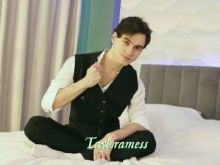 Tayloramess