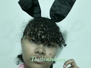 Thatbimbobunny