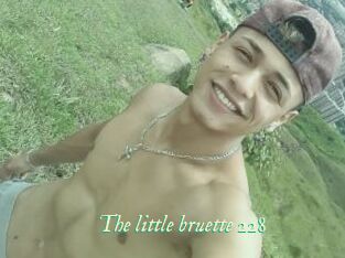 The_little_bruette_228