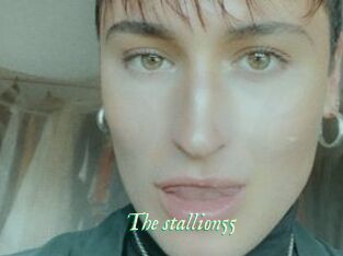 The_stallion55