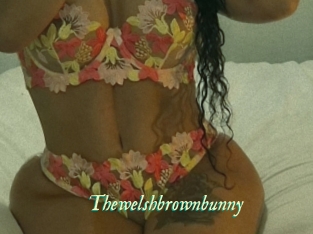 Thewelshbrownbunny