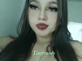 Tinybrandy