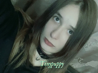 Tinypuppy