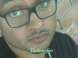 Toodamnfire