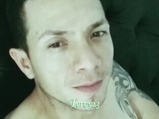 Torvy23