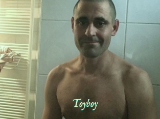 Toyboy