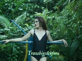 Transbigcockforu