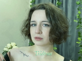 Trishrose
