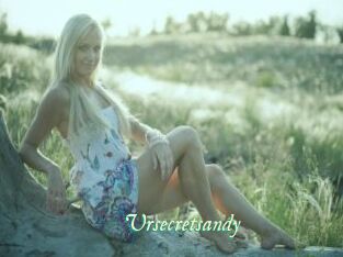 Ursecretsandy