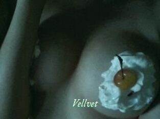 Vellvet