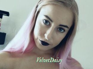 VelvetDaisy