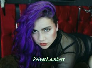 VelvetLambert