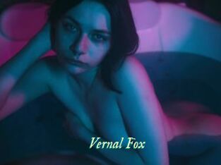 Vernal_Fox