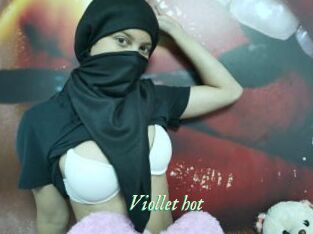 Viollet_hot