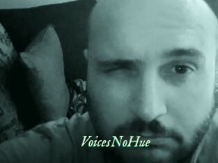 VoicesNoHue