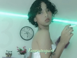 Vanecutesquirt