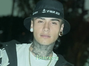Vectorx073