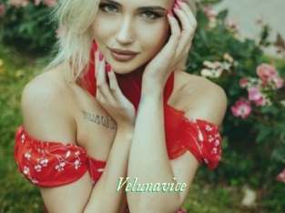 Velunavice