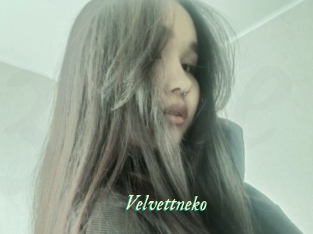 Velvettneko