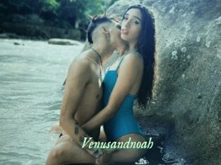 Venusandnoah