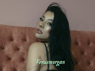 Venusmorgan