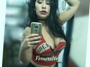 Venusvelvet