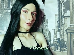 Violetarose