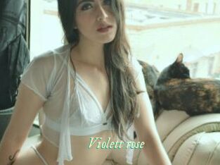 Violett_rose