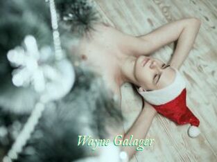 Wayne_Galager