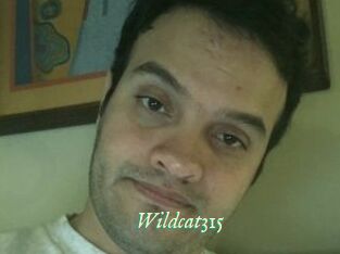 Wildcat315