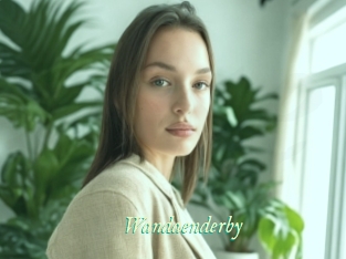 Wandaenderby