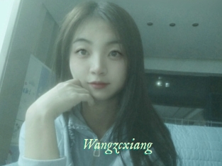 Wangzcxiang