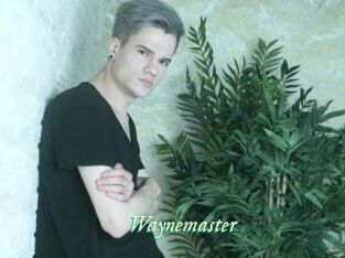 Waynemaster