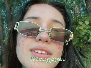 Whitneygleghorn
