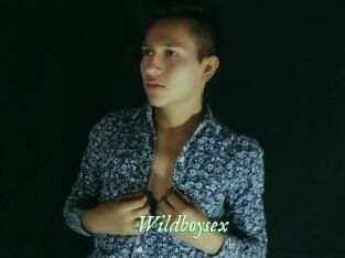 Wildboysex