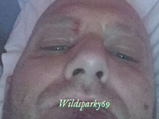 Wildsparky69