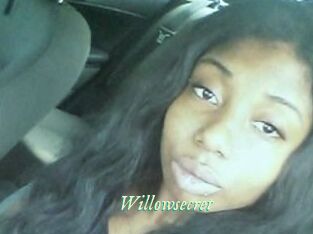 Willow_secret
