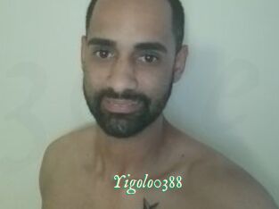 Yigolo0388