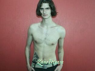 ZaneDream