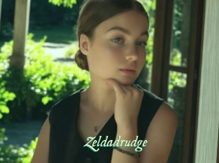 Zeldadrudge